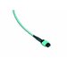 FO Patch cord MPO/MPO 12G50/125µ OM3 LSOH, Length: xxxxx